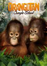 Watch Orangutan Jungle School Putlocker