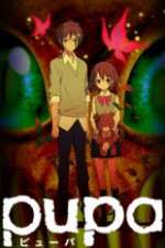 Watch Pupa Putlocker