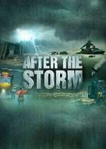 Watch After the Storm Putlocker