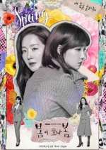 Watch Spring Turns to Spring Putlocker