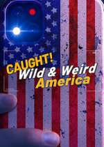 Watch Wild & Weird America Putlocker