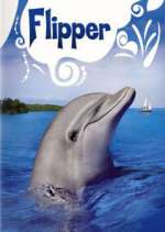 Watch Flipper Putlocker