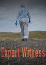 Watch Expert Witness Putlocker