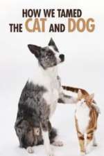 Watch How We Tamed the Cat and Dog Putlocker