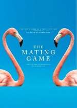 Watch The Mating Game Putlocker