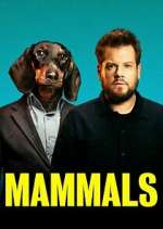 Watch Mammals Putlocker