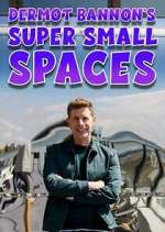 Watch Dermot Bannon's Super Small Spaces Putlocker