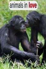Watch Animals in Love Putlocker