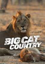 Watch Big Cat Country Putlocker