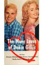 Watch The Many Loves of Dobie Gillis Putlocker