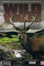Watch Wild Wales Putlocker