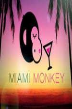 Watch Miami Monkey Putlocker