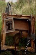 Watch Anna's Wild Life Putlocker