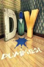 Watch DIY Dummies Putlocker