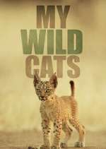 Watch My Wild Cats Putlocker