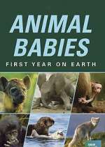Watch Animal Babies: First Year on Earth Putlocker