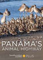 Watch Panama's Animal Highway Putlocker