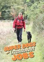 Watch Super Dogs with Extraordinary Jobs Putlocker