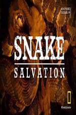 Watch Snake Salvation Putlocker
