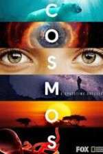 Watch Cosmos A SpaceTime Odyssey Putlocker