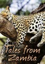 Watch Tales from Zambia Putlocker