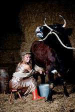 Watch Countryfile Putlocker