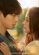 Watch What Comes After Love Putlocker