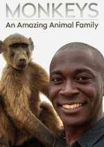 Watch Monkeys: An Amazing Animal Family Putlocker