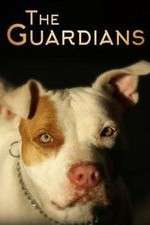 Watch The Guardians Putlocker