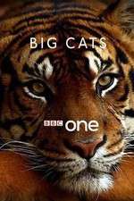 Watch Big Cats Putlocker