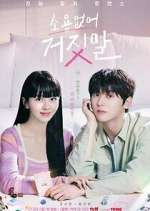 Watch My Lovely Liar Putlocker