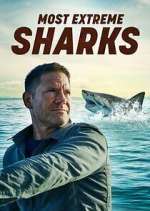 Watch Most Extreme Sharks Putlocker