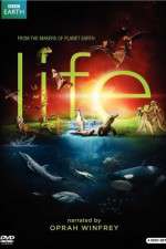 Watch Life Putlocker