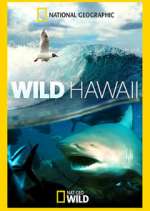 Watch Wild Hawaii Putlocker