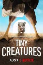 Watch Tiny Creatures Putlocker
