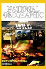 Watch Destination Wild: Colombia Putlocker