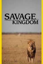 Watch Savage Kingdom Putlocker