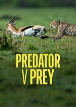 Watch Predator v Prey Putlocker
