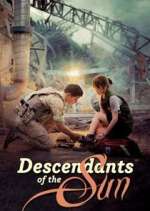 Watch Descendants of the Sun Putlocker