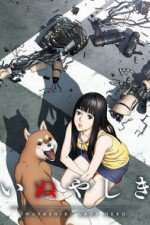 Watch Inuyashiki Putlocker