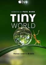 Watch Tiny World Putlocker