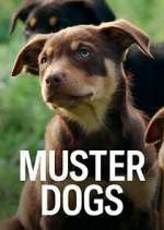 Watch Muster Dogs Putlocker