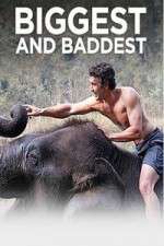 Watch Biggest and Baddest Putlocker