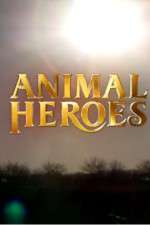 Watch Animal Heroes Putlocker