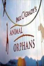 Watch Paul O'Grady's Animal Orphans Putlocker