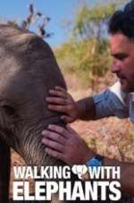 Watch Walking with Elephants Putlocker