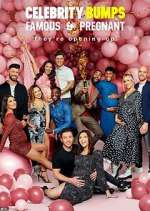 Watch Celebrity Bumps: Famous & Pregnant Putlocker