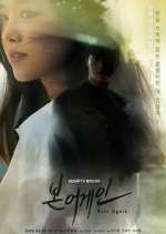 Watch Born Again Putlocker