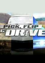 Watch Pick, Flip & Drive Putlocker