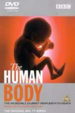 Watch The Human Body Putlocker